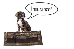 insurance-background-with-dog-1474825546uT0