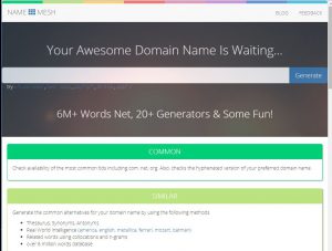 capture name mesh website